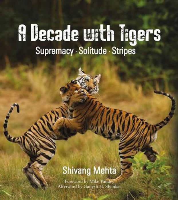 A Decade With Tigers by Shivang Mehta