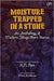 Moisture Trapped In A Stone by Rao, Translated by KN