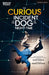 The Curious Incident of the Dog in the Night-Time GCSE Student Edition by Simon Stephens