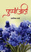 Pushpanjali by Arunima Sharma