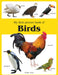 My First Book of Birds by Wonder House Books