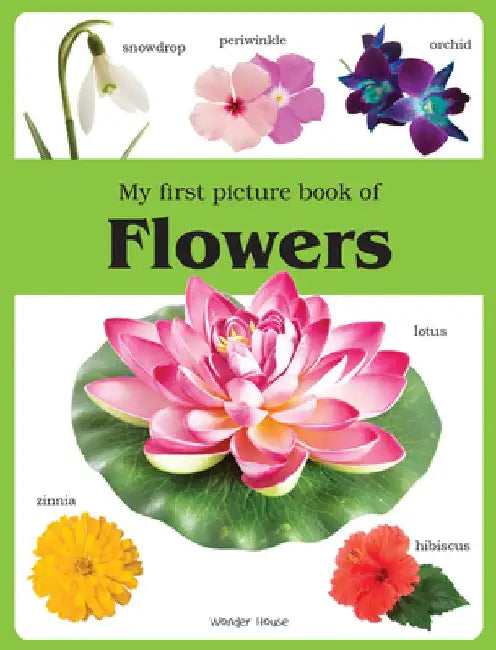 My First Book of Flowers by Wonder House Books