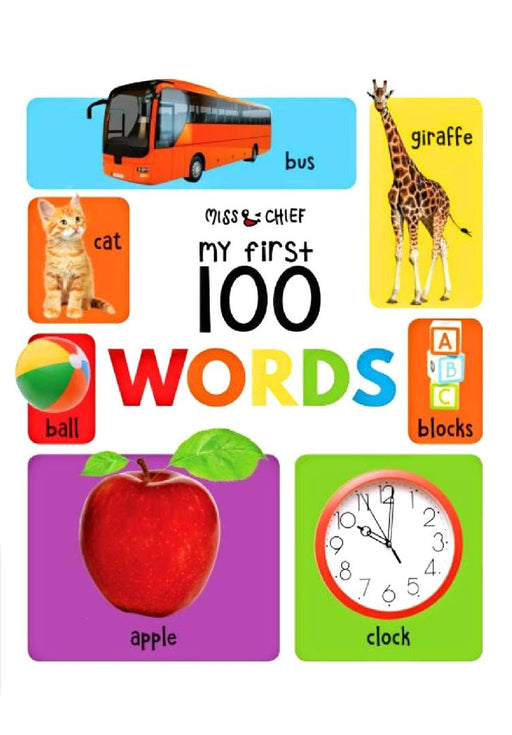 My First 100 Words by Wonder House Books