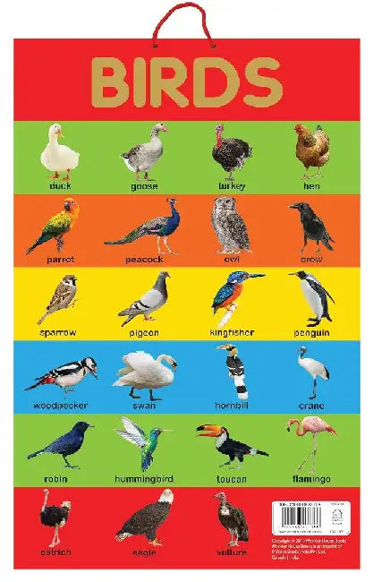 Birds by Wonder House Books