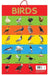 Birds by Wonder House Books