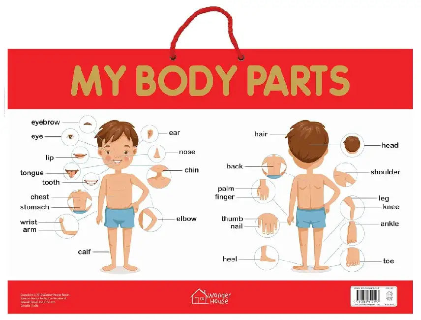 My Body Parts by Wonder House Books