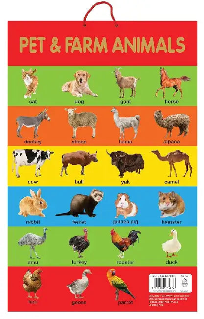Pet  Farm Animals by Wonder House Books