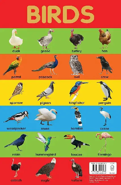 Birds Chart by Wonder House Books