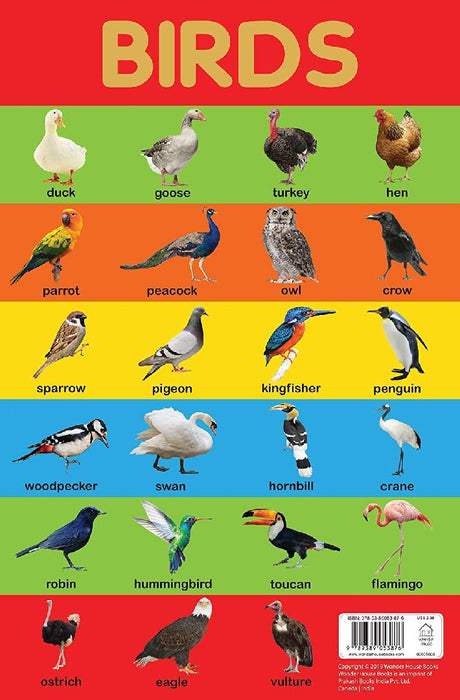 Birds Chart by Wonder House Books