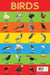 Birds Chart by Wonder House Books