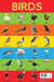 Birds Chart by Wonder House Books