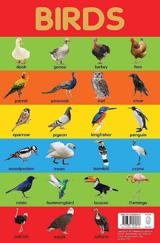 Birds Chart by Wonder House Books