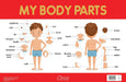 My Body Parts Chart by Wonder House Books