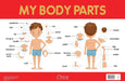 My Body Parts Chart by Wonder House Books