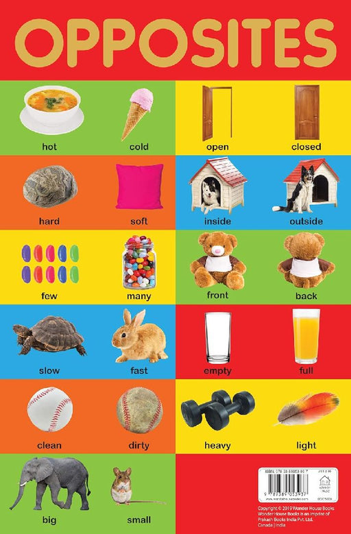 Opposites Chart by Wonder House Books