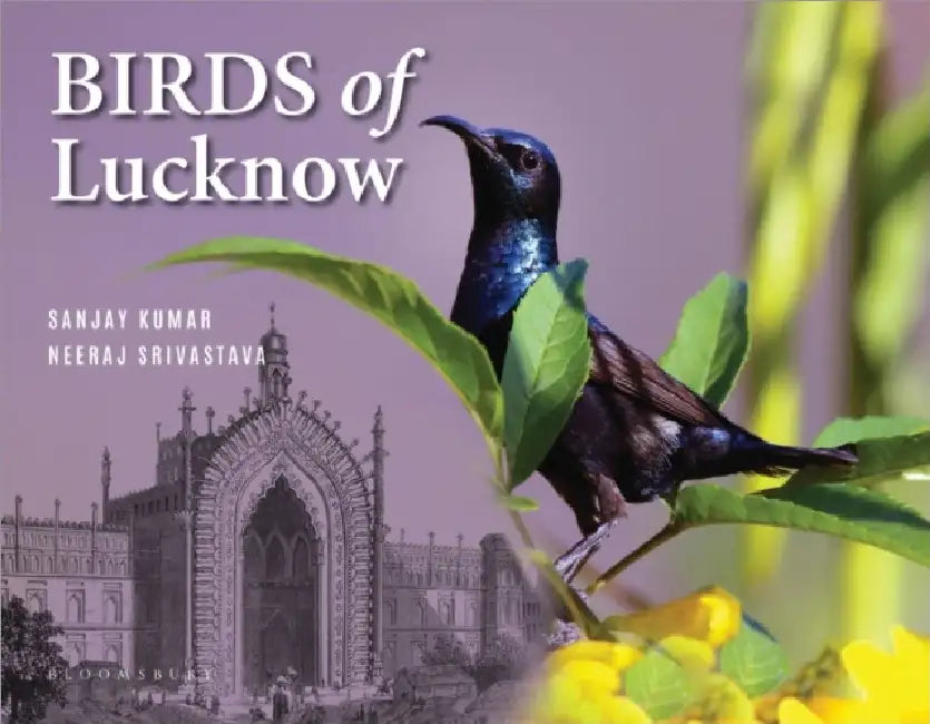 Birds Of Lucknow by Sanjay Kumar