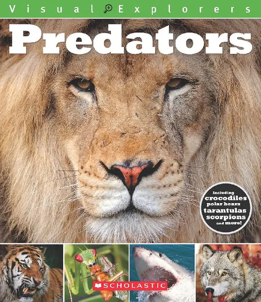 Visual Explorers: Predators by Toby Reynolds