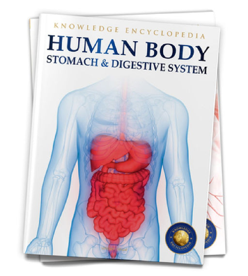 Human Body: Stomach and Digestive System by Wonder House Books