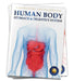 Human Body: Stomach and Digestive System by Wonder House Books