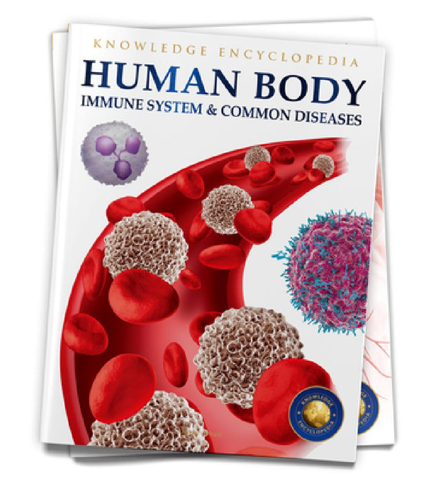 Human Body: Immune System and Common Diseases by Wonder House Books