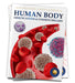 Human Body: Immune System and Common Diseases by Wonder House Books