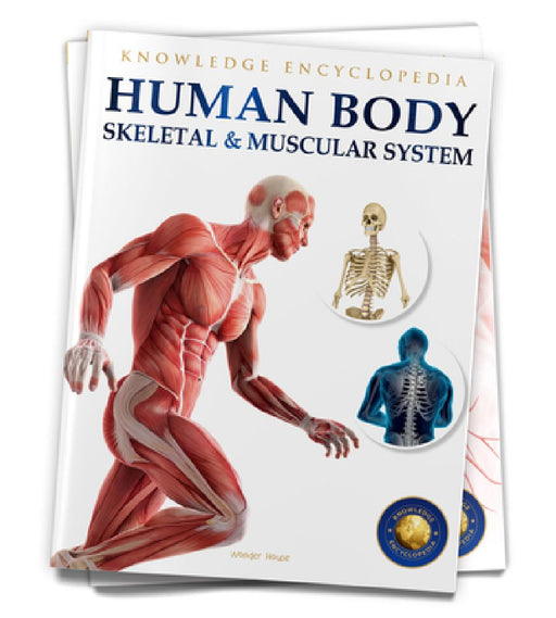 Human Body: Skeletal and Muscular System by Wonder House Books