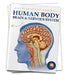 Human Body: Brain and Nervous System by Wonder House Books