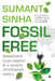 Fossil Free: Reimagining Clean Energy in a Carbon-Constrained World by No Author