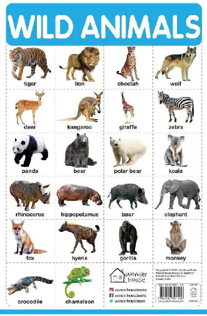 Wild Animals by Wonder House Books