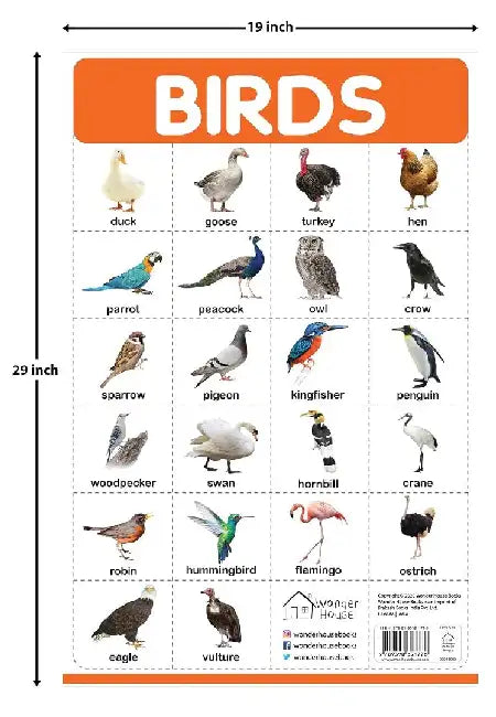 Birds by Wonder House Books