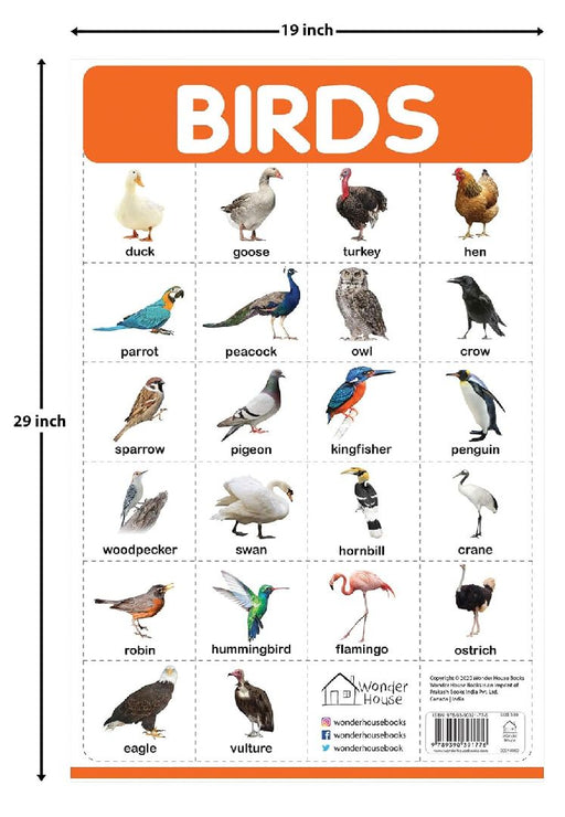 Birds by Wonder House Books