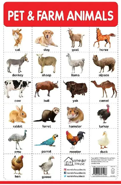 Pet And Farm Animals by Wonder House Books