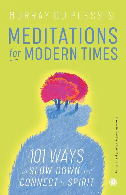 Meditations for Modern Times by Murray du Plessis