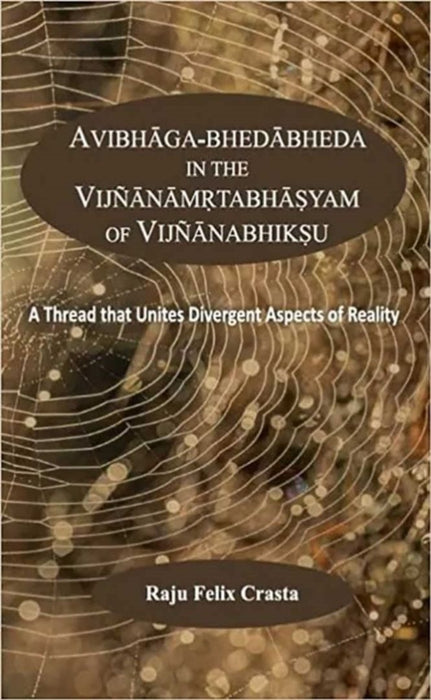 AVIBHAGA-BHEDABHEDA IN THE VIJNANAMRTABHASYAM OF VIJNANABHIKSU by Raju Felix Crasta