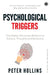 Psychological Triggers: The Hidden Influences Behind Our Actions, Thoughts and Behaviors by Peter Hollins