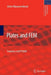 Plates and Fem: Surprises and Pitfalls by Johan Blaauwendraad