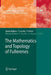 The Mathematics and Topology of Fullerenes by Franco Cataldo