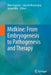 Midkine: From Embryogenesis to Pathogenesis and Therapy by Mine Ergüven