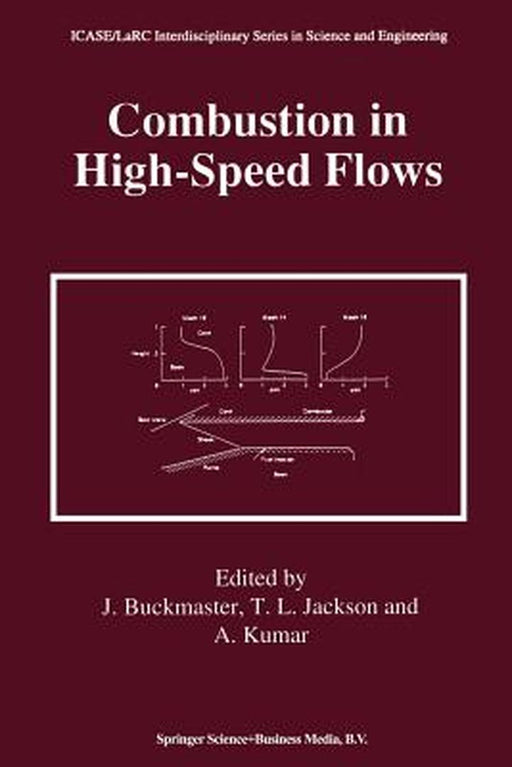 Combustion in High-Speed Flows by John Buckmaster