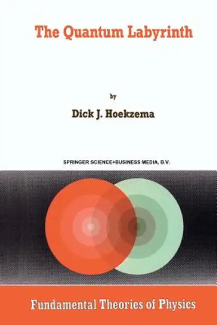 The Quantum Labyrinth by D. J. Hoekzema