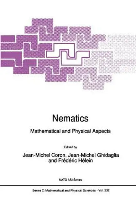 Nematics: Mathematical and Physical Aspects by Jean-Michel Coron