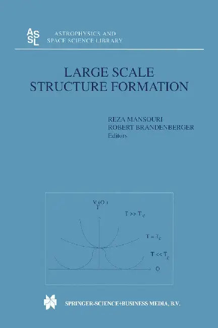 Large Scale Structure Formation by Reza Mansouri