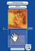 Computer-Aided Design of User Interfaces II: Proceedings of the Third International Conference on Computer-Aided Design of User Interfaces, 21-23 Octo by Jean Vanderdonckt