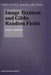 Image Textures and Gibbs Random Fields by Georgy L. Gimel'farb