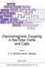 Electromagnetic Coupling in the Polar Clefts and Caps by Per Even Sandholt