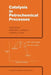 Catalysis in Petrochemical Processes by M. S. Matar