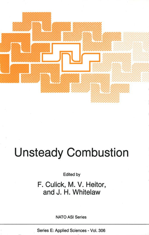 Unsteady Combustion by F. Culick