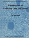 Ultrastructure of Endocrine Cells and Tissues by P. M. Motta
