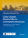 Global Change: Mankind-Marine Environment Interactions: Proceedings of the 13th French-Japanese Oceanography Symposium by Hubert-Jean Ceccaldi