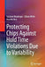 Protecting Chips Against Hold Time Violations Due to Variability by Gustavo Neuberger
